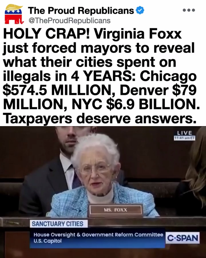 democratic Mayors spent 100's of millions of taxpayer money on illegals