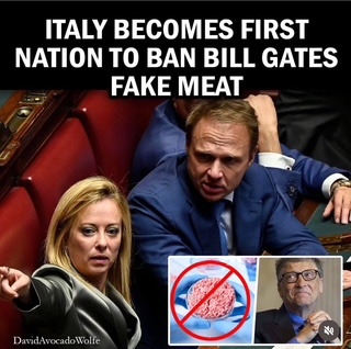 'Italy becomes first nation to ban Bill Gates fake meat