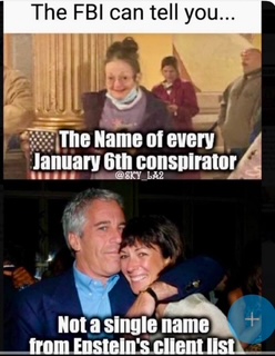the FB can tell you every Jan 6 conspirator but not a single person from Epstein's client list