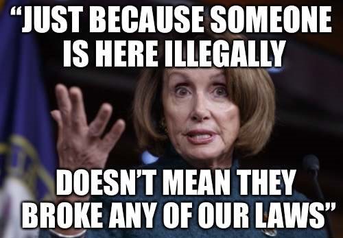 pelosi the idiot