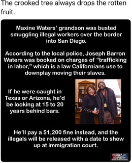 Walters grandson gets away virtually free for committing a felony