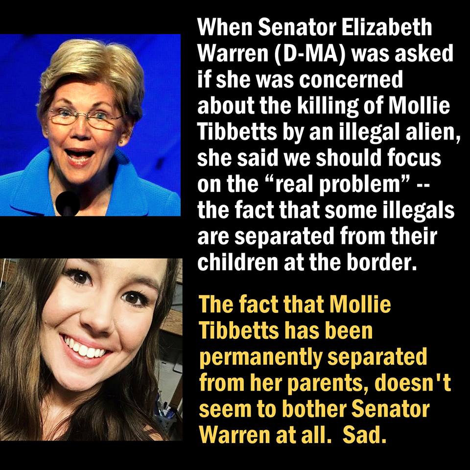 Elizabeth Warren, Democrat